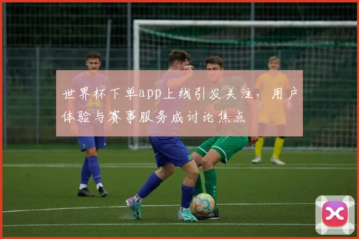 世界杯下单app上线引发关注,用户体验与赛事服务成讨论焦点