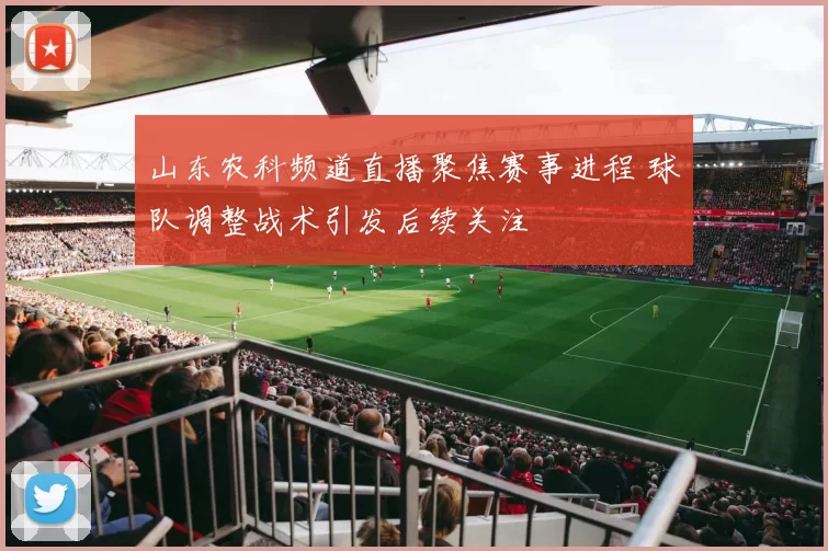 山东农科频道直播聚焦赛事进程 球队调整战术引发后续关注