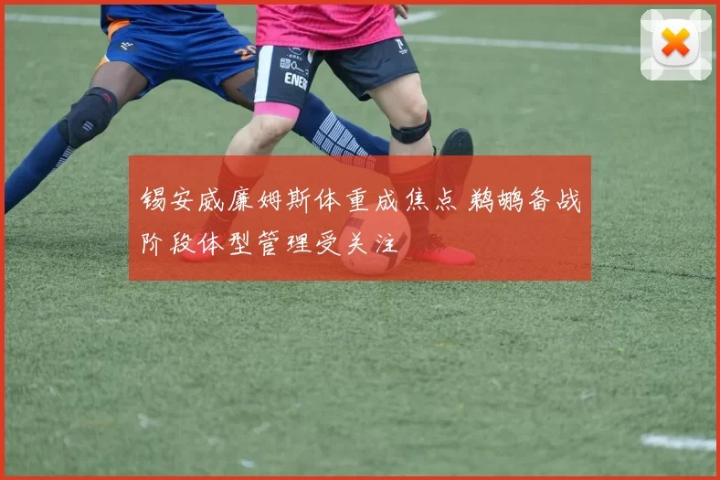 锡安威廉姆斯体重成焦点 鹈鹕备战阶段体型管理受关注