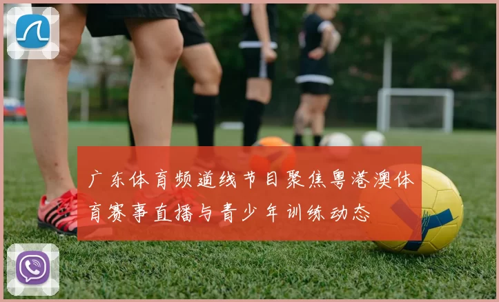 广东体育频道线节目聚焦粤港澳体育赛事直播与青少年训练动态