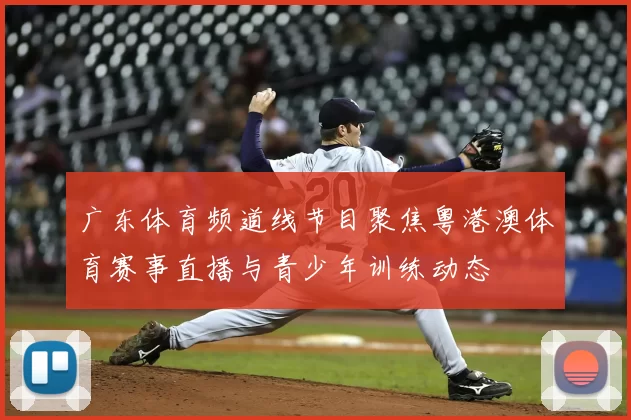 广东体育频道线节目聚焦粤港澳体育赛事直播与青少年训练动态